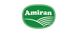 Amirann